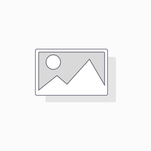 Microfasertuch Professional